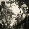 Suitably scary skeletons 