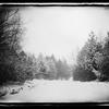 Photographic negative of Prospect Park in 1880