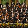 Vienna Philharmonic Orchestra
