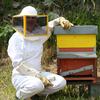 Beekeeper