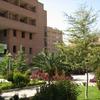 Tehran University