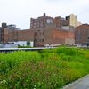 The High Line