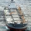 The oil skimmer 'A Whale'