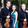 The Carducci String Quartet.